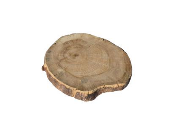 Rond chene massif naturel de 20 x 20 x 4 cm +/- 1 cm – Image 3