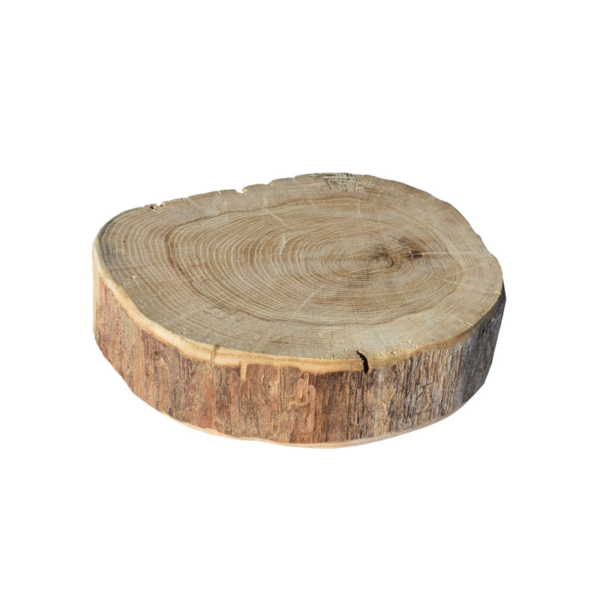 Rond chene massif naturel de 20 x 20 x 4 cm +/- 1 cm – Image 2