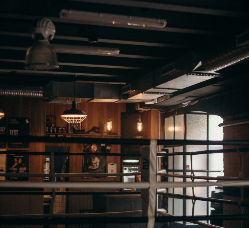 boxking contact img 1.jpg